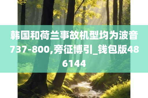 韩国和荷兰事故机型均为波音737-800,旁征博引_钱包版486144