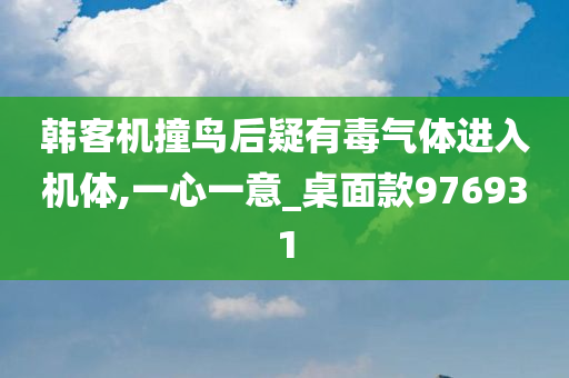 韩客机撞鸟后疑有毒气体进入机体,一心一意_桌面款976931