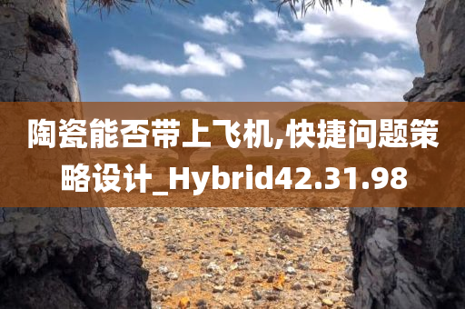 陶瓷能否带上飞机,快捷问题策略设计_Hybrid42.31.98