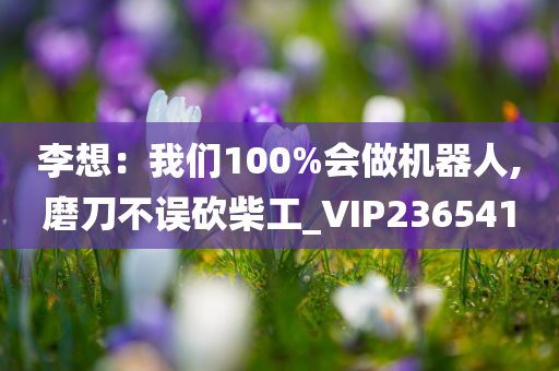 李想：我们100%会做机器人,磨刀不误砍柴工_VIP236541