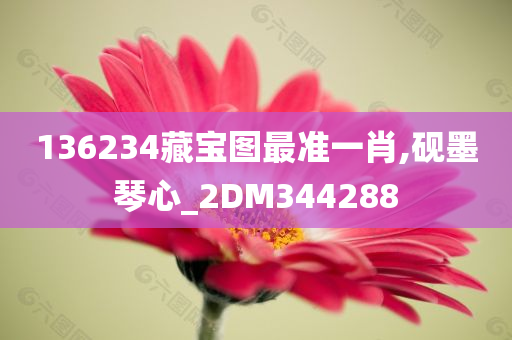 136234藏宝图最准一肖,砚墨琴心_2DM344288