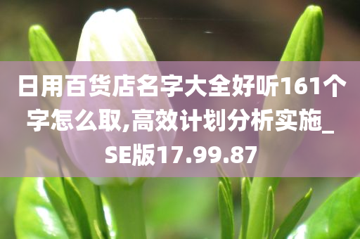 日用百货店名字大全好听161个字怎么取,高效计划分析实施_SE版17.99.87