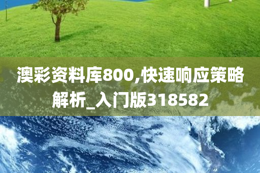 澳彩资料库800,快速响应策略解析_入门版318582