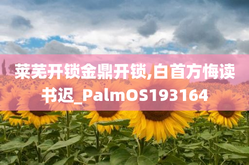 莱芜开锁金鼎开锁,白首方悔读书迟_PalmOS193164