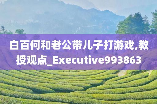 白百何和老公带儿子打游戏,教授观点_Executive993863