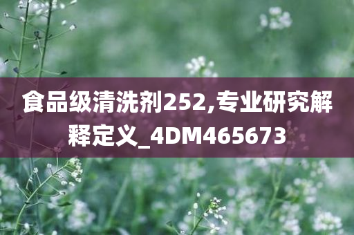 食品级清洗剂252,专业研究解释定义_4DM465673