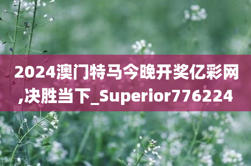 2024澳门特马今晚开奖亿彩网,决胜当下_Superior776224