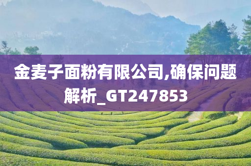 金麦子面粉有限公司,确保问题解析_GT247853