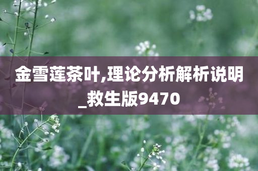 金雪莲茶叶,理论分析解析说明_救生版9470