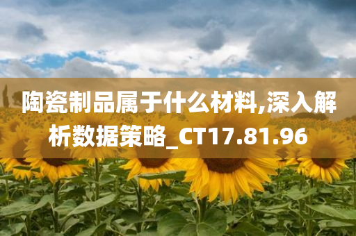 陶瓷制品属于什么材料,深入解析数据策略_CT17.81.96