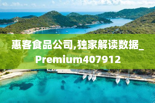 惠客食品公司,独家解读数据_Premium407912