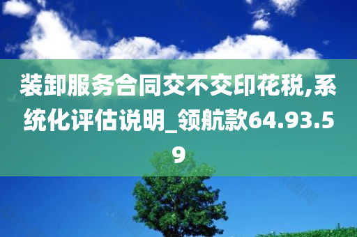 装卸服务合同交不交印花税,系统化评估说明_领航款64.93.59