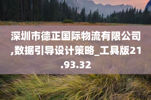 深圳市德正国际物流有限公司,数据引导设计策略_工具版21.93.32