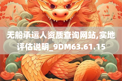 无船承运人资质查询网站,实地评估说明_9DM63.61.15