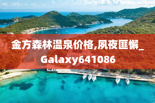 金方森林温泉价格,夙夜匪懈_Galaxy641086