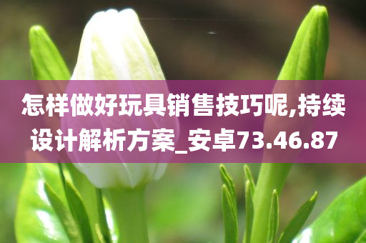 怎样做好玩具销售技巧呢,持续设计解析方案_安卓73.46.87