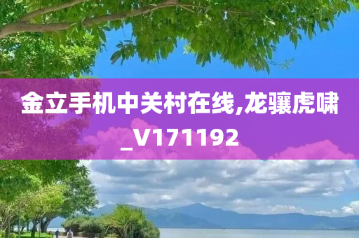 金立手机中关村在线,龙骧虎啸_V171192