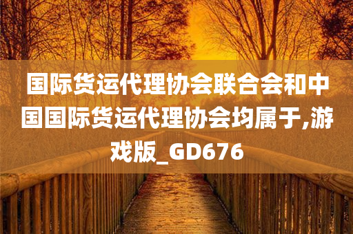 国际货运代理协会联合会和中国国际货运代理协会均属于,游戏版_GD676