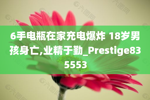 6手电瓶在家充电爆炸 18岁男孩身亡,业精于勤_Prestige835553