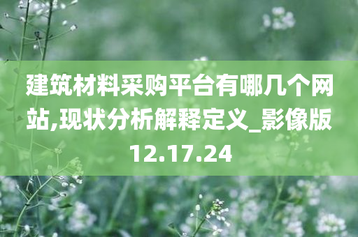 建筑材料采购平台有哪几个网站,现状分析解释定义_影像版12.17.24