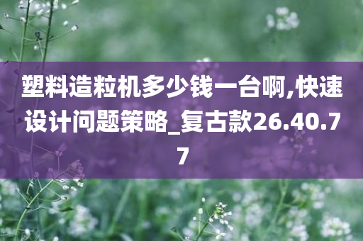 塑料造粒机多少钱一台啊,快速设计问题策略_复古款26.40.77