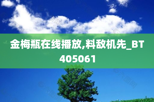 金梅瓶在线播放,料敌机先_BT405061