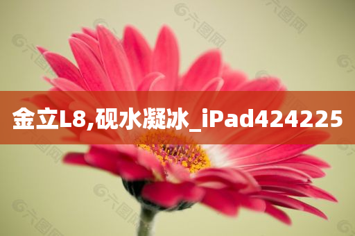 金立L8,砚水凝冰_iPad424225