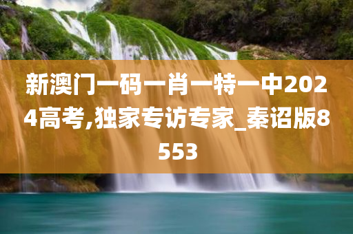 新澳门一码一肖一特一中2024高考,独家专访专家_秦诏版8553