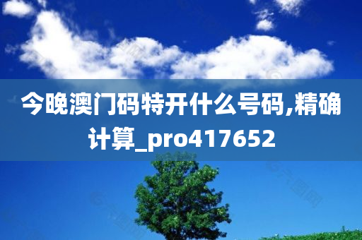 今晚澳门码特开什么号码,精确计算_pro417652