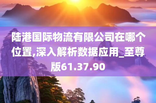 陆港国际物流有限公司在哪个位置,深入解析数据应用_至尊版61.37.90