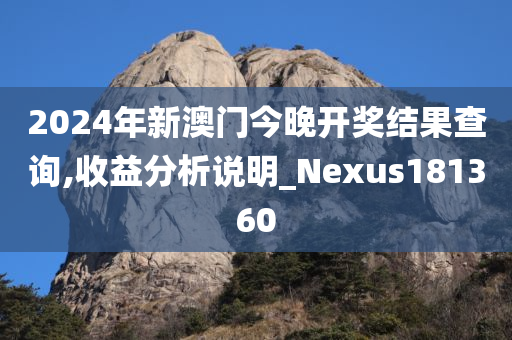 2024年新澳门今晚开奖结果查询,收益分析说明_Nexus181360