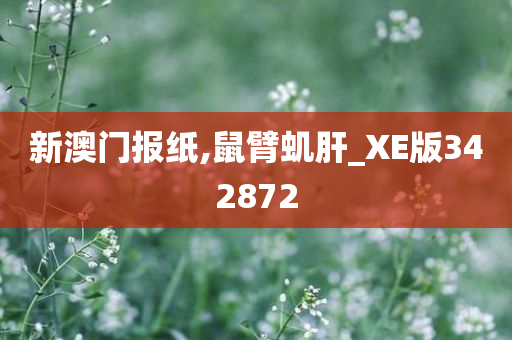 新澳门报纸,鼠臂虮肝_XE版342872