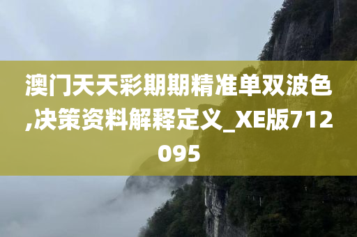 澳门天天彩期期精准单双波色,决策资料解释定义_XE版712095