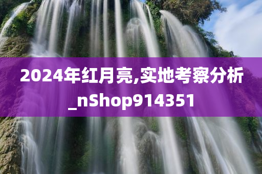 2024年红月亮,实地考察分析_nShop914351