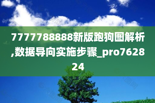 7777788888新版跑狗图解析,数据导向实施步骤_pro762824