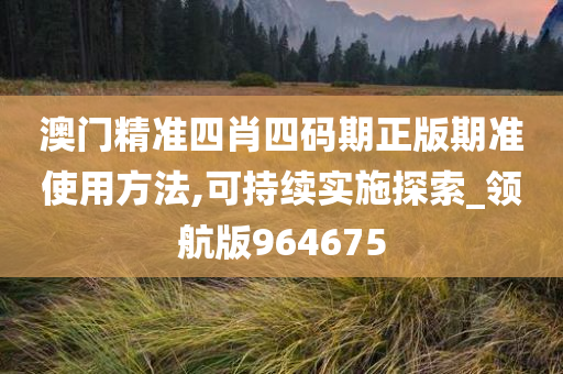 澳门精准四肖四码期正版期准使用方法,可持续实施探索_领航版964675