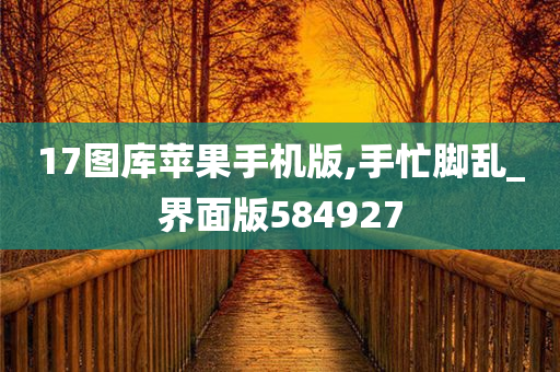 17图库苹果手机版,手忙脚乱_界面版584927