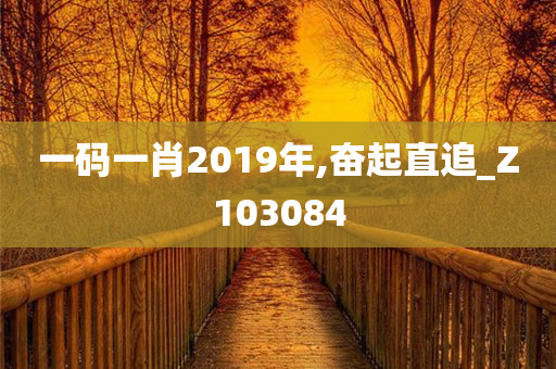 一码一肖2019年,奋起直追_Z103084