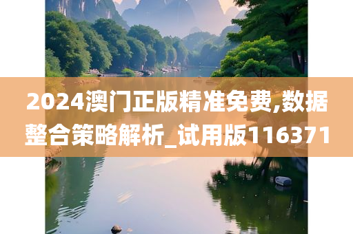 2024澳门正版精准免费,数据整合策略解析_试用版116371