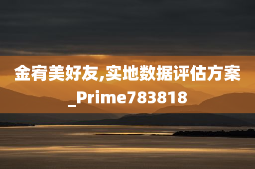 金宥美好友,实地数据评估方案_Prime783818