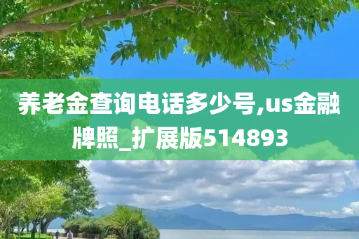 养老金查询电话多少号,us金融牌照_扩展版514893