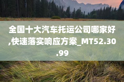 全国十大汽车托运公司哪家好,快速落实响应方案_MT52.30.99