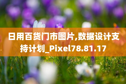 日用百货门市图片,数据设计支持计划_Pixel78.81.17