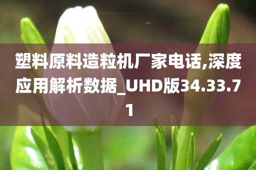 塑料原料造粒机厂家电话,深度应用解析数据_UHD版34.33.71