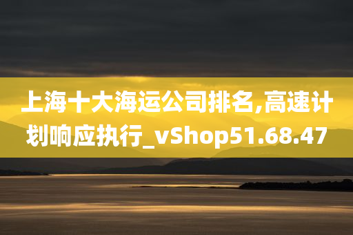 上海十大海运公司排名,高速计划响应执行_vShop51.68.47