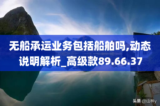 无船承运业务包括船舶吗,动态说明解析_高级款89.66.37