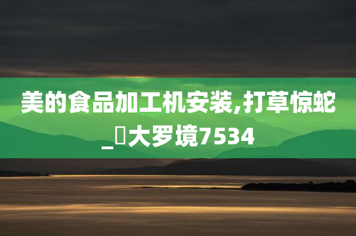 美的食品加工机安装,打草惊蛇_‌大罗境7534