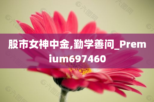 股市女神中金,勤学善问_Premium697460