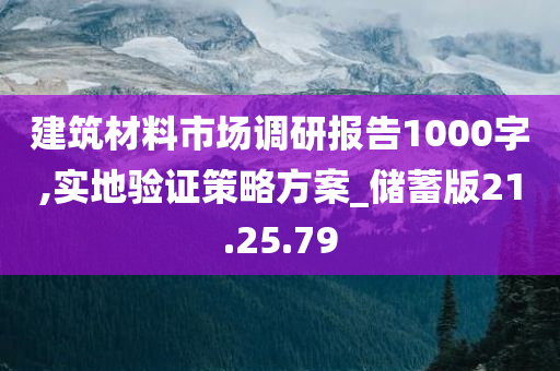 建筑材料市场调研报告1000字,实地验证策略方案_储蓄版21.25.79