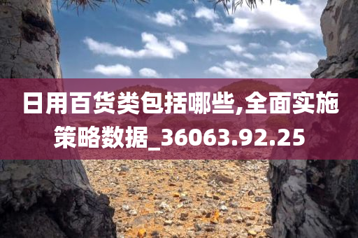 日用百货类包括哪些,全面实施策略数据_36063.92.25